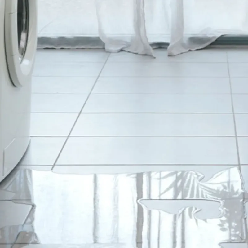 Appliance Leak Cleanup in Bangor, ME