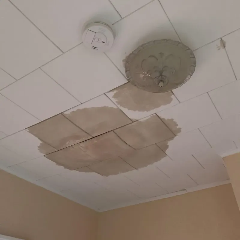 Ceiling Water Damage Repair in Bangor, ME