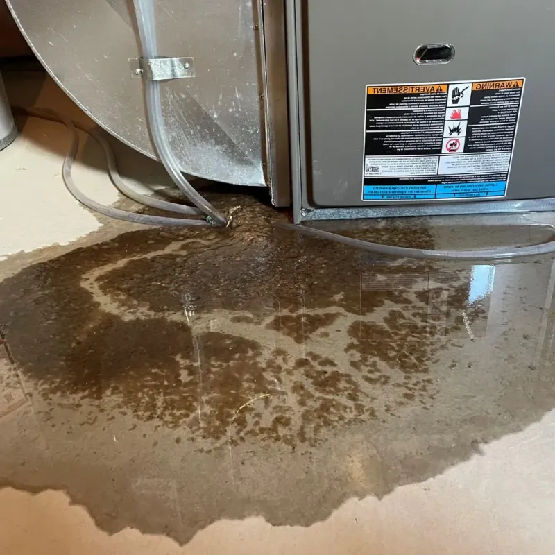 Pipe Burst and Leak Restoration in Bangor, ME